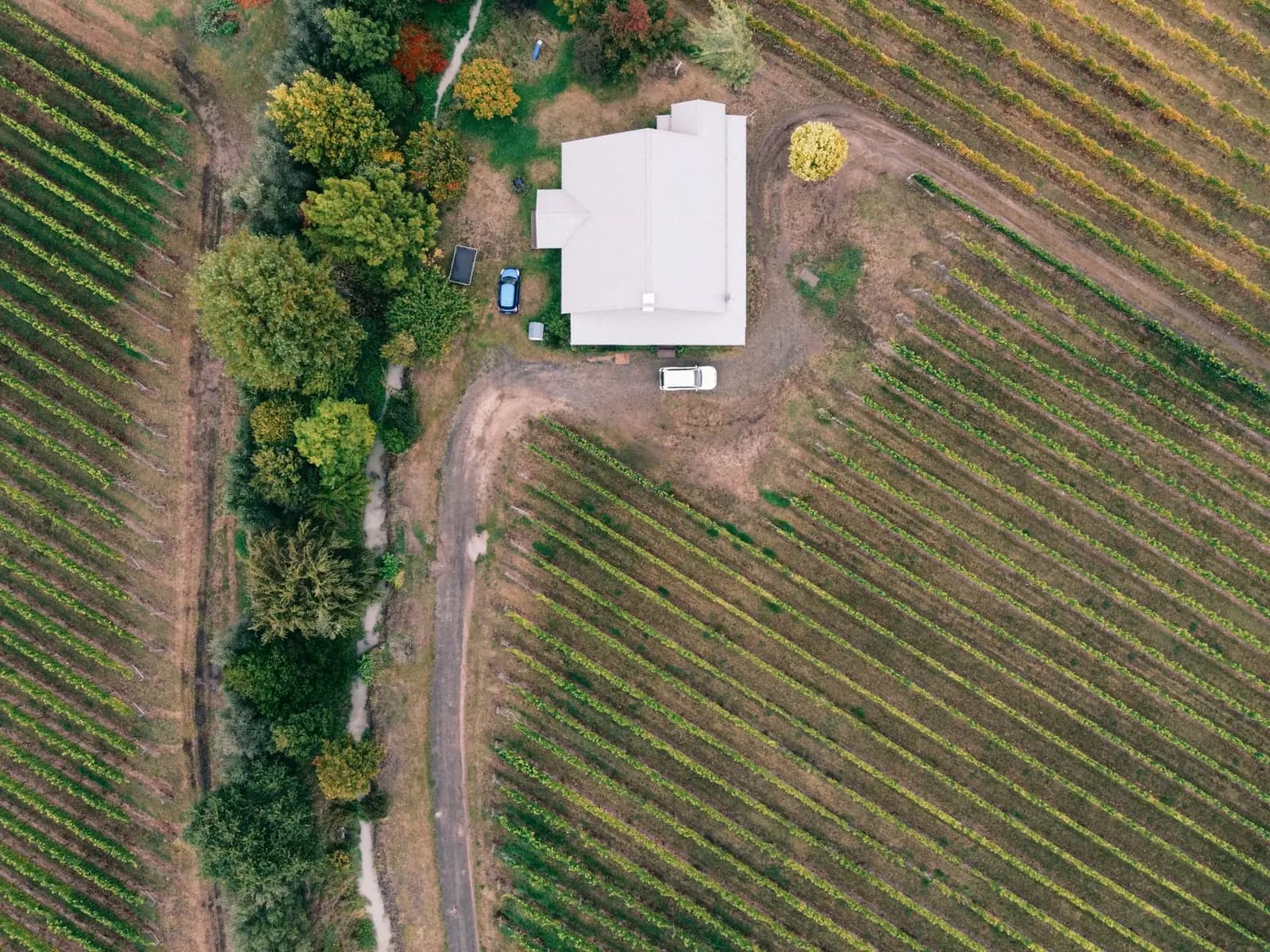 Tío Pepe winery in Jerez: visit and sherry tasting