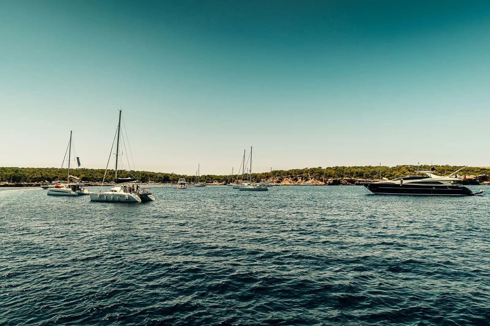 Ibiza to Formentera catamaran: a day at sea for groups