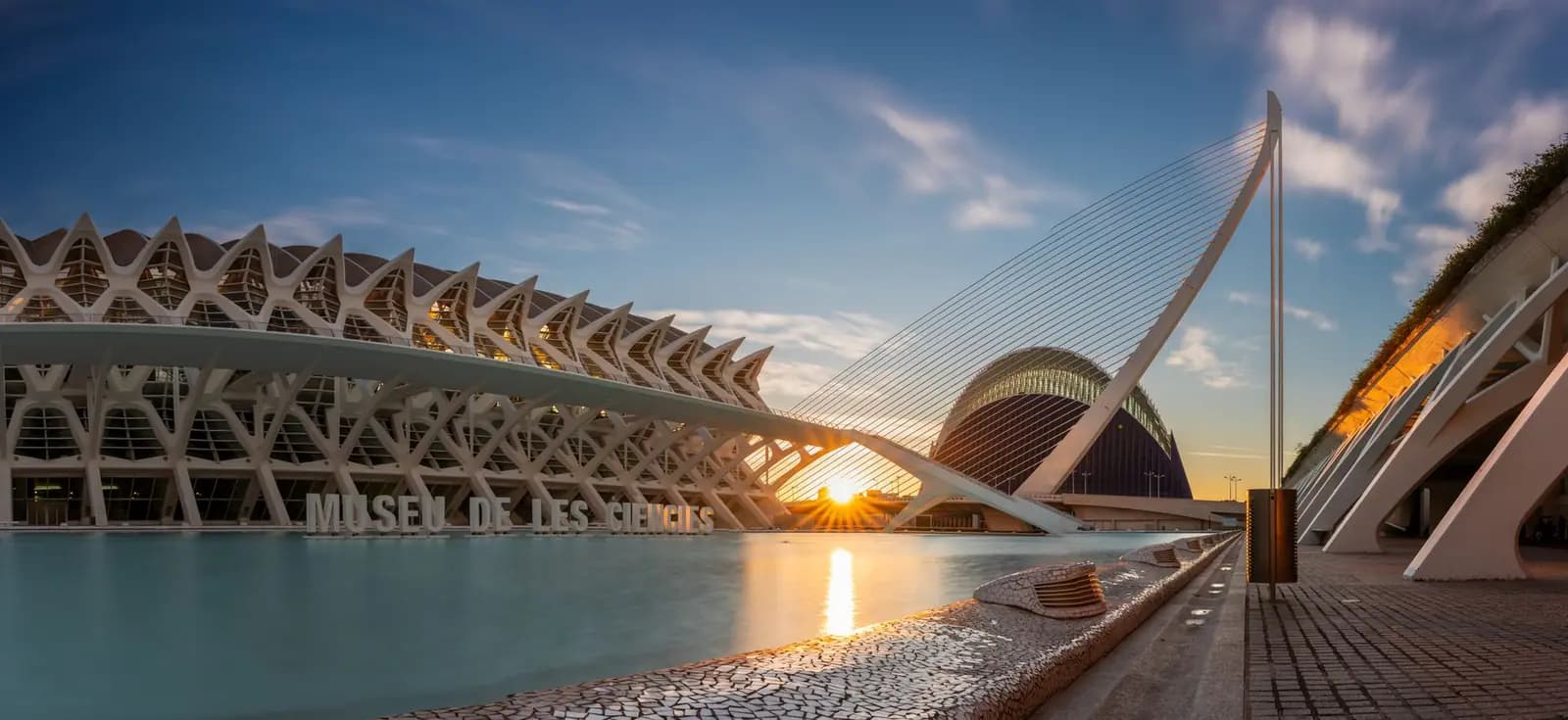 Oceanogràfic group visit, City of Arts and Sciences
