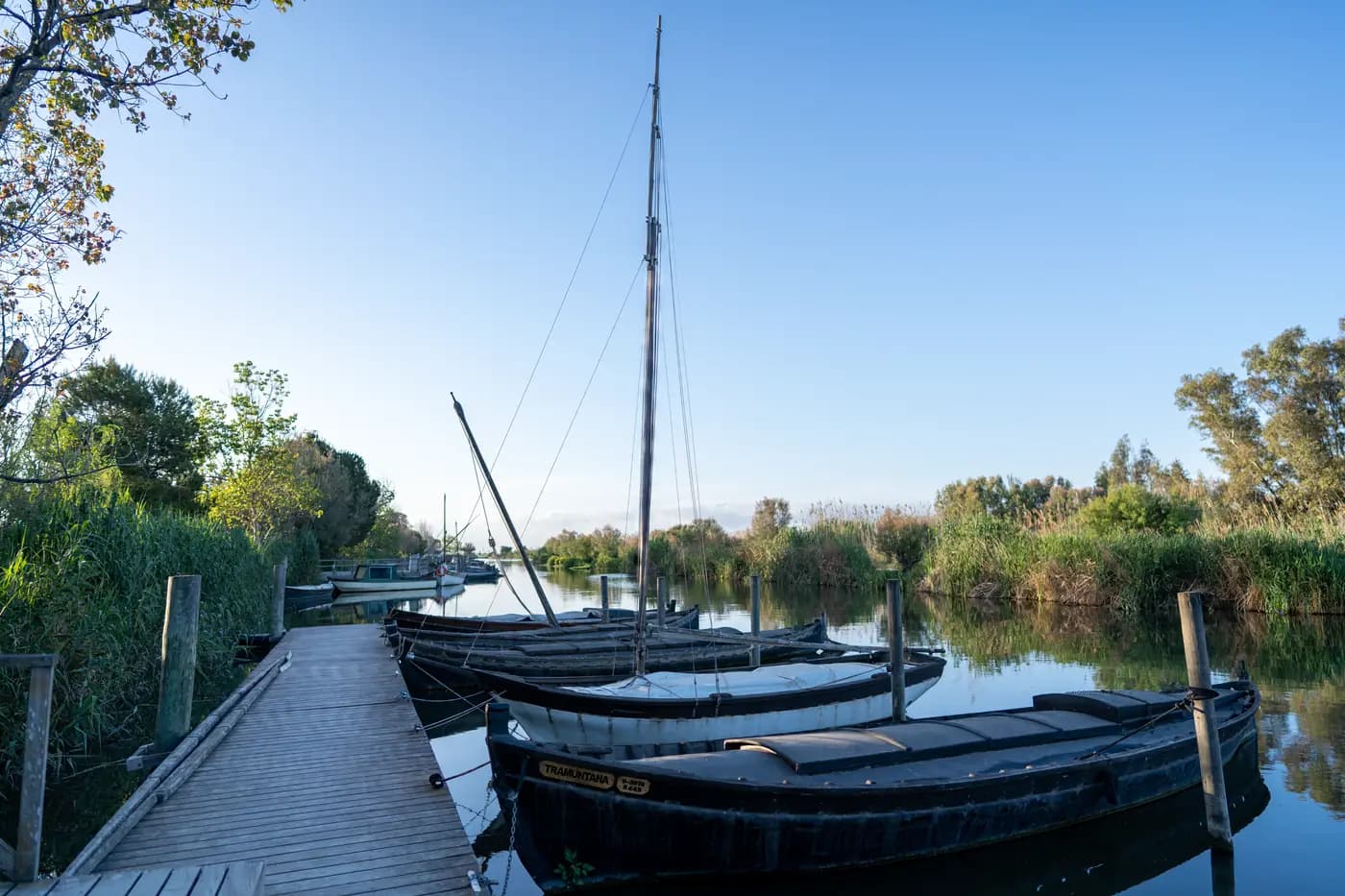 Traditionelle Holzboote, vertäut an einem von Schilf gesäumten Kanal