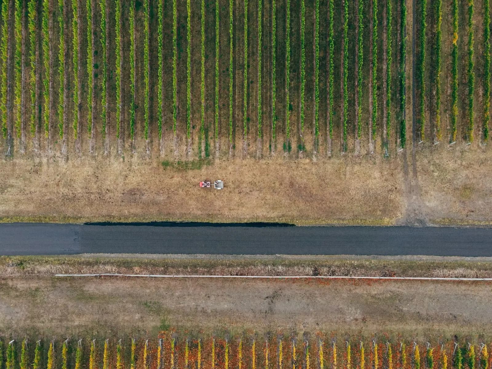 Visite de la Vinícola de Arganda et du vignoble