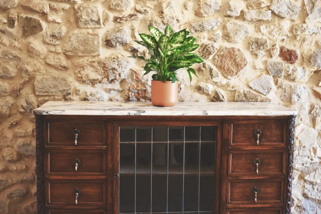 Stone-walled room at Casa Gran 1771 with a wooden sideboard and a plant