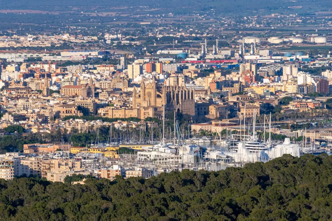 Vue aérienne de Palma, de sa cathédrale et de sa marina, seconde étape de l'incentive