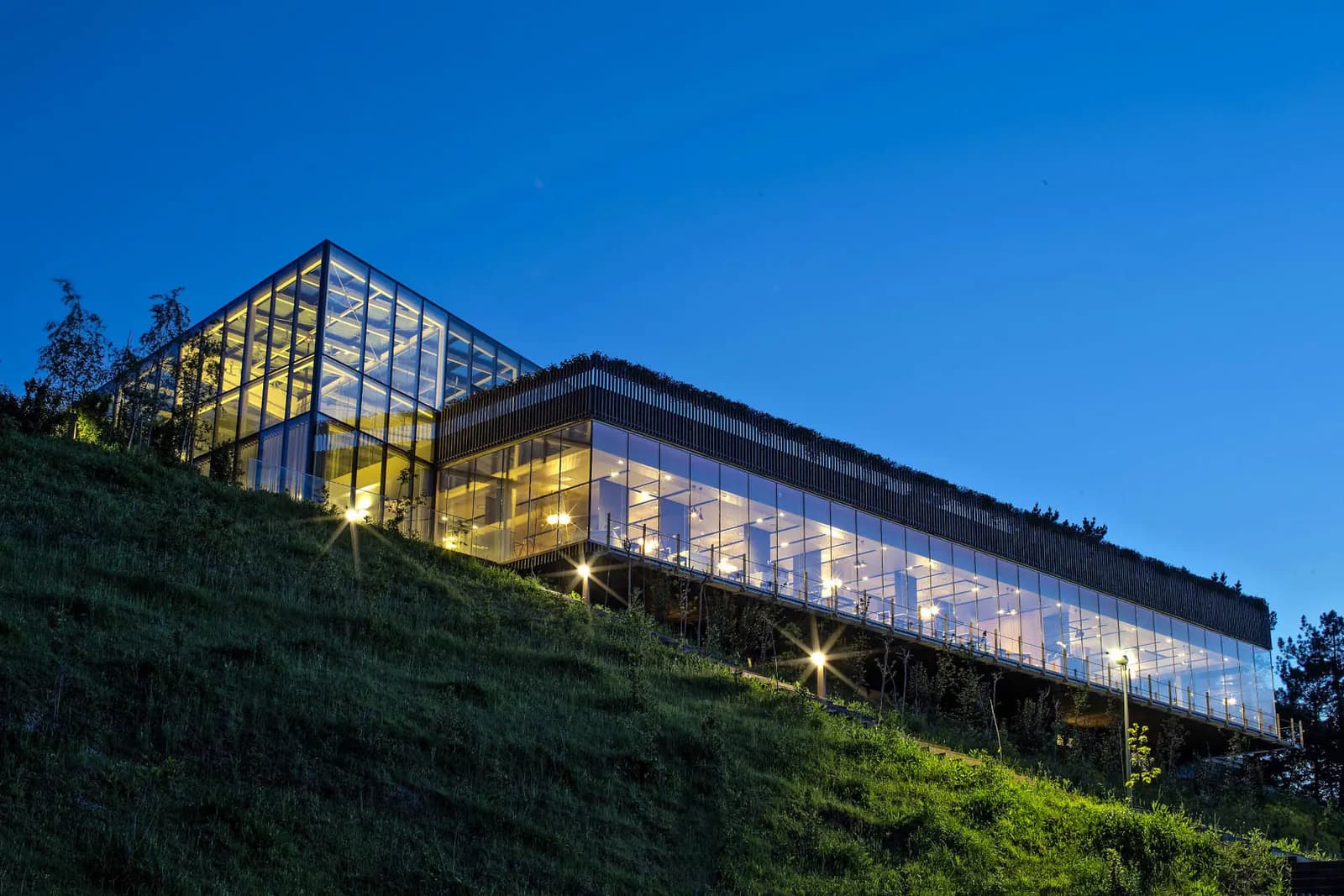 Glass facade of Azurmendi lit at dusk on a hillside in Larrabetzu