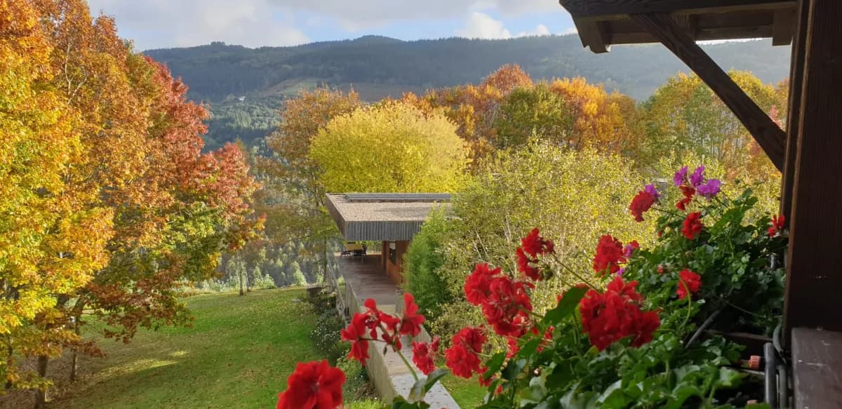 Flower-filled terrace of the Astei design houses