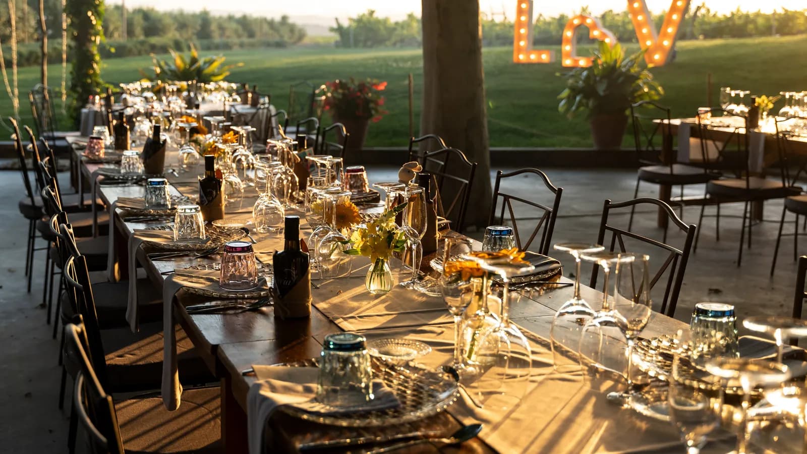 Outdoor dinner under lights at Masia La Torre del Gall
