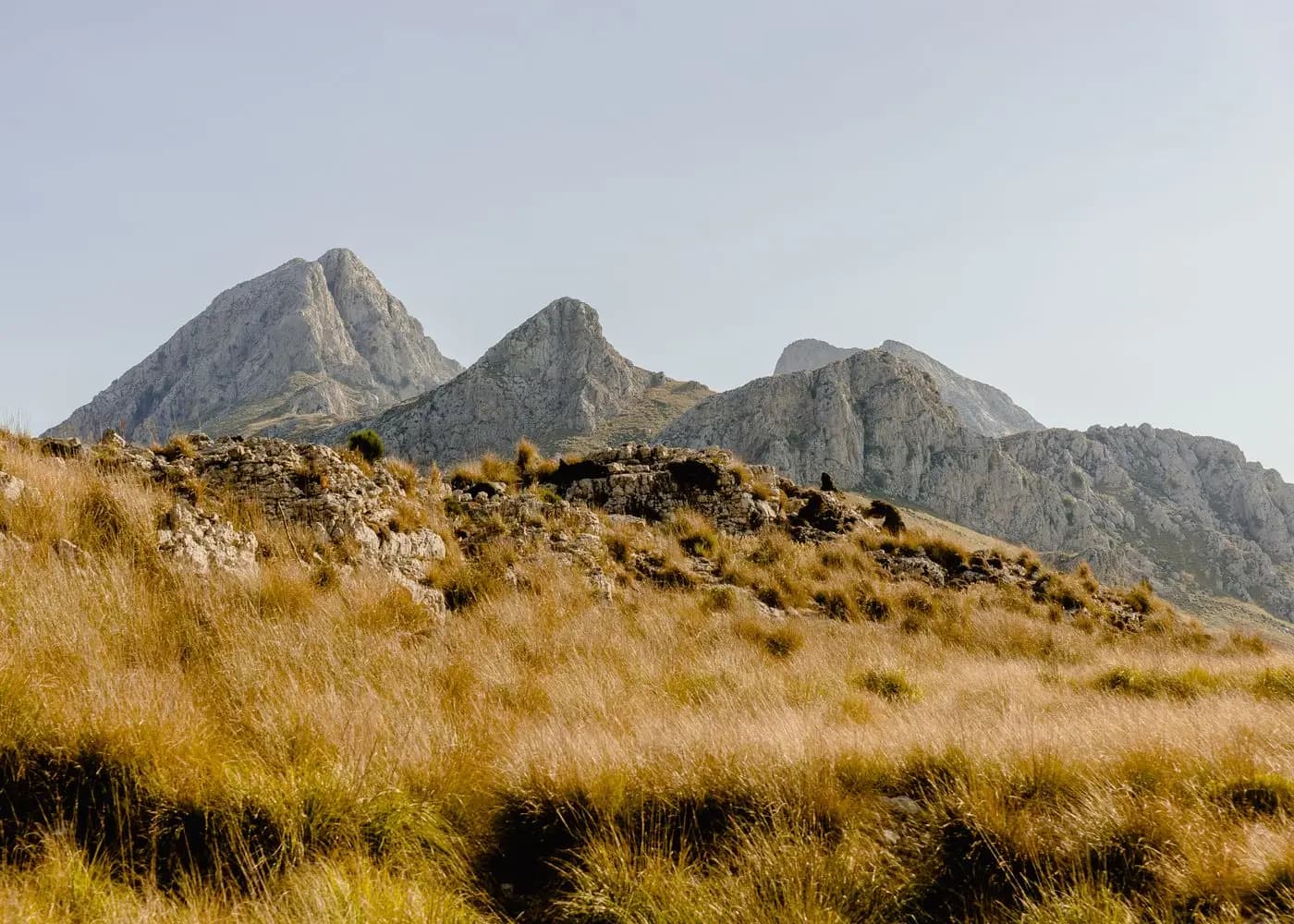 Kalkstenen toppen en goudgeel gras op een bergflank