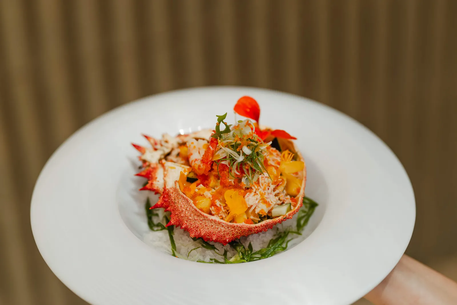 Seafood dish plated at Nikki Beach Ibiza