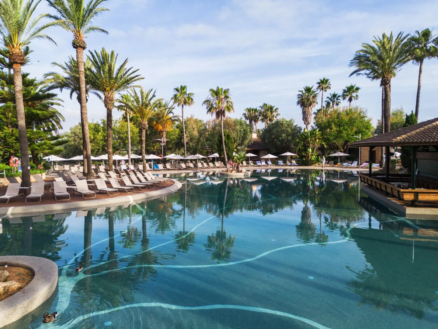 Large pool at PortBlue Club Pollentia Resort & Spa surrounded by palm trees and sun loungers