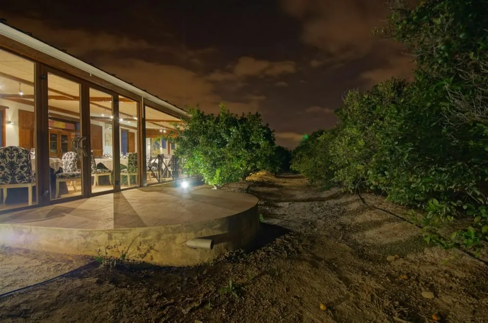 Glass-walled terrace at night among trees at Alquería del Brosquil in Valencia