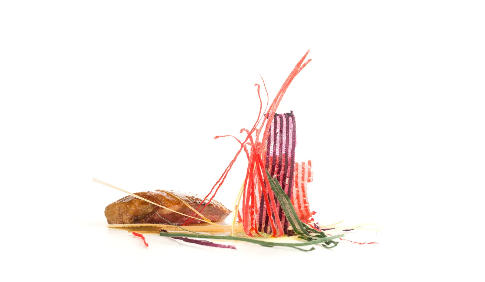 Pigeon dish with potato feathers at Arzak restaurant in Donostia