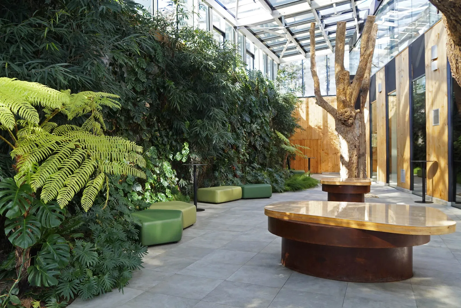 Patio intérieur végétalisé avec fougères et table basse en bois à Azurmendi
