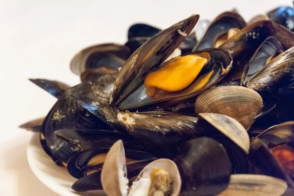 Mussels and clams served at Can Culleretes restaurant in Barcelona