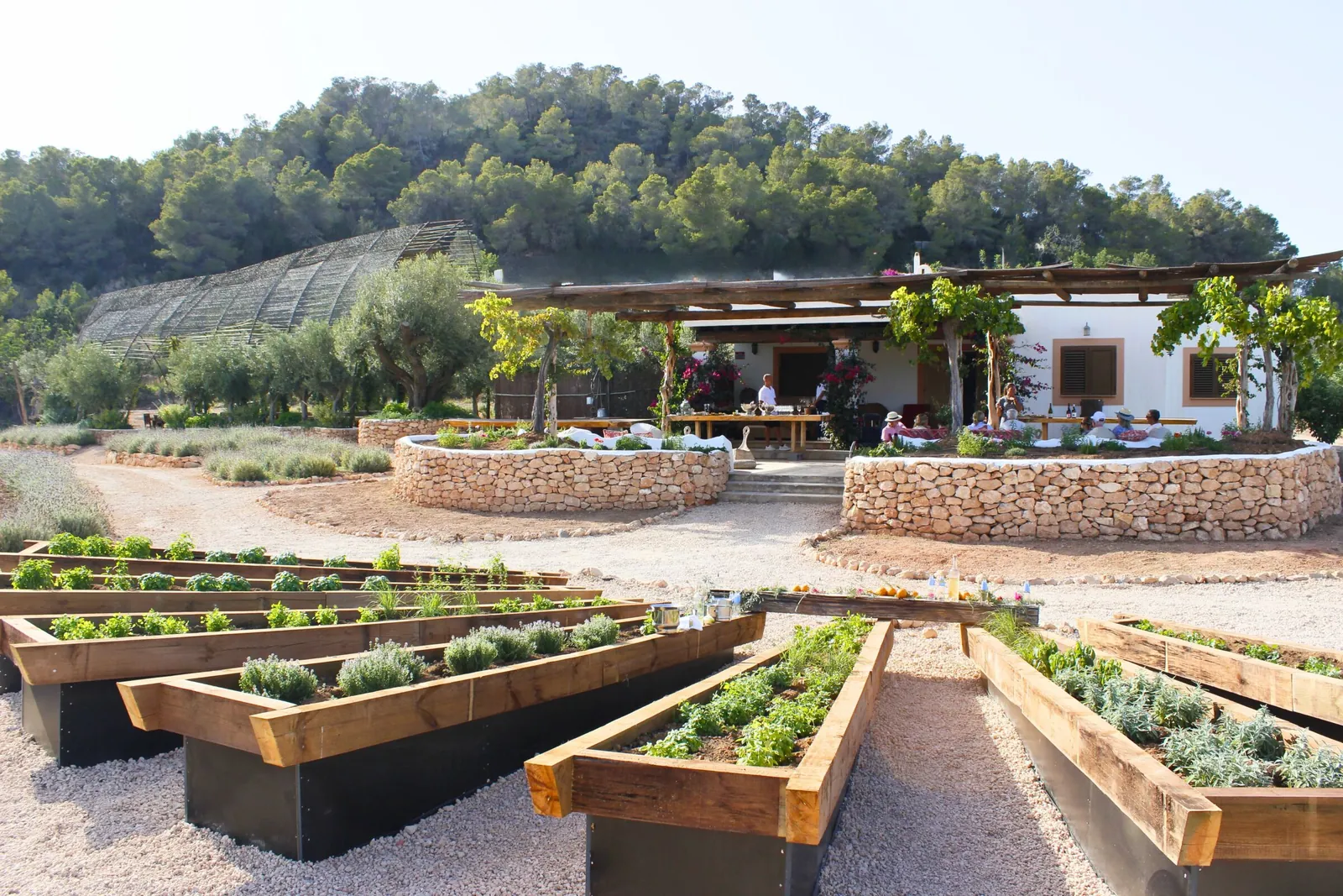 Kitchen garden and terrace of Hacienda Na Xamena in Ibiza, raised wooden beds