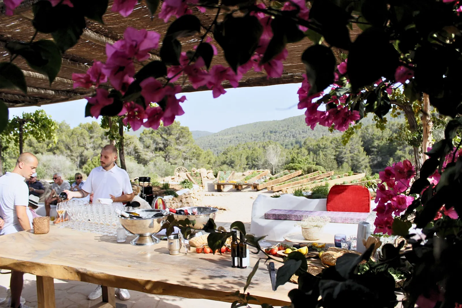Terrace of Hacienda Na Xamena in Ibiza under bougainvillea, outdoor service