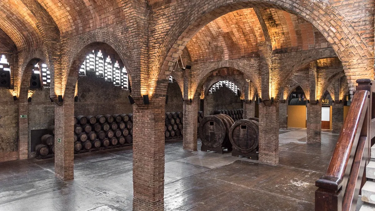 Vaulted brick cellars with barrels at Cavas Codorníu in Barcelona