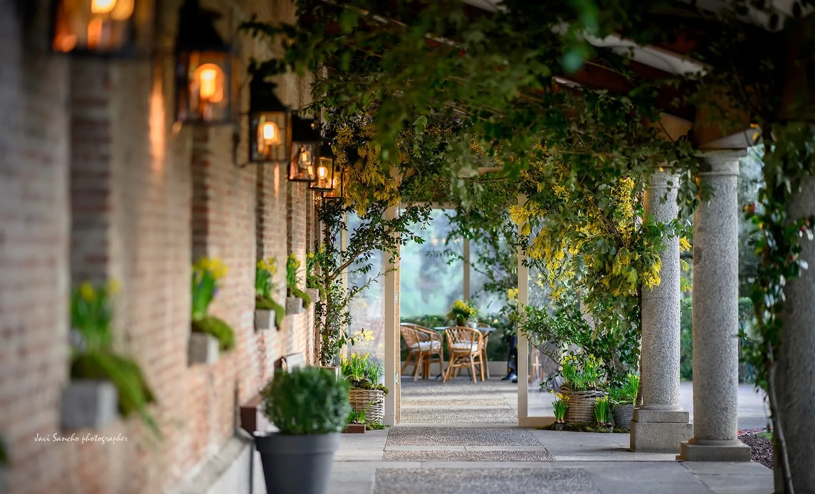 Pergola and entrance of Finca El Chaparral