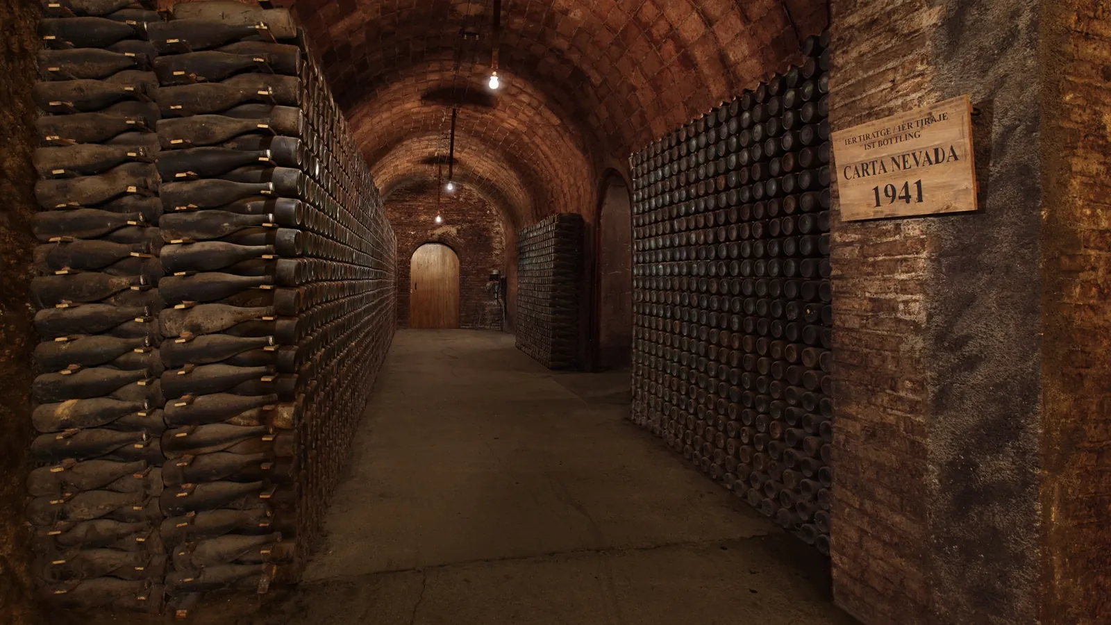 Cellar gallery with cava bottles ageing