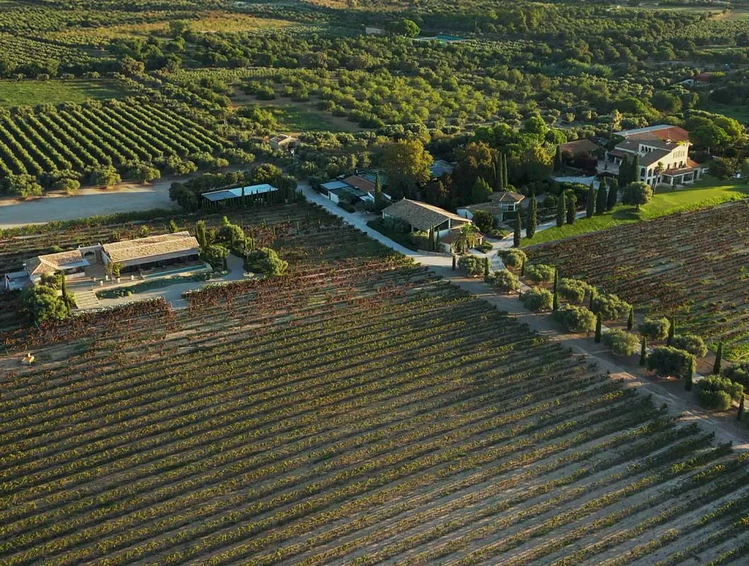Aerial view of the estate among vineyards and cypress trees