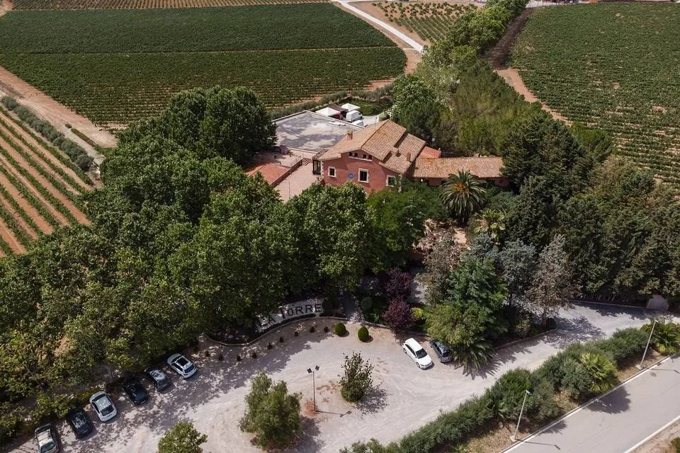 Aerial view of Masía La Torre del Gall near Barcelona, surrounded by vineyards and gardens