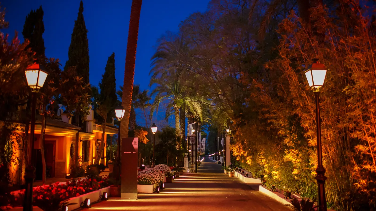 Lamp-lit avenue at dusk
