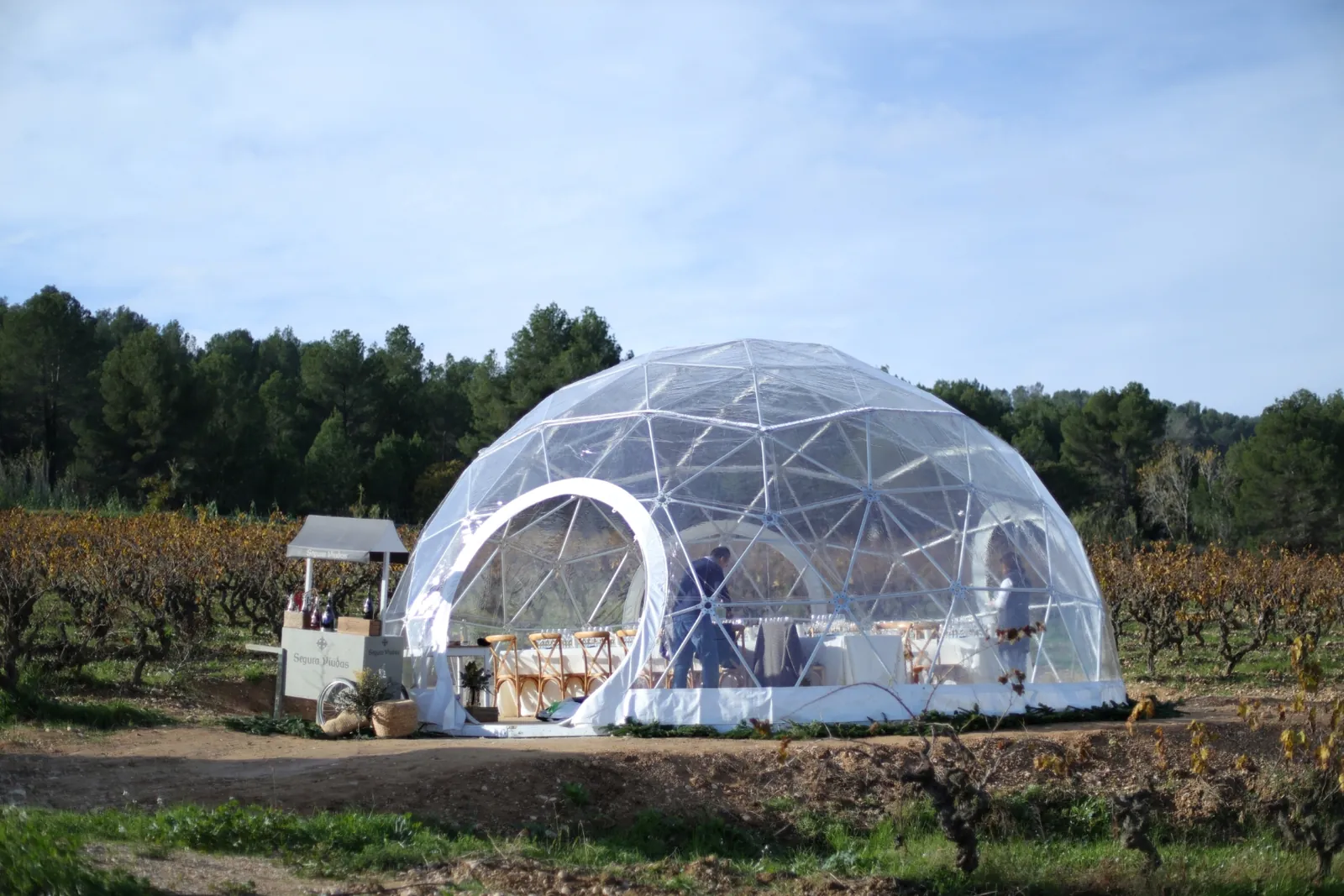 Transparent dome set up among the vineyards